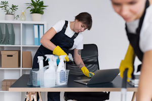 Cleaner Tradespeople image